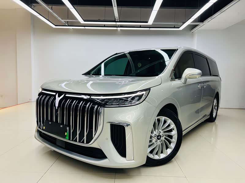2022 Voyah 梦想家
