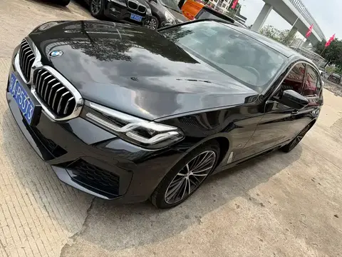 2021 BMW 530Li M Sport (facelift)