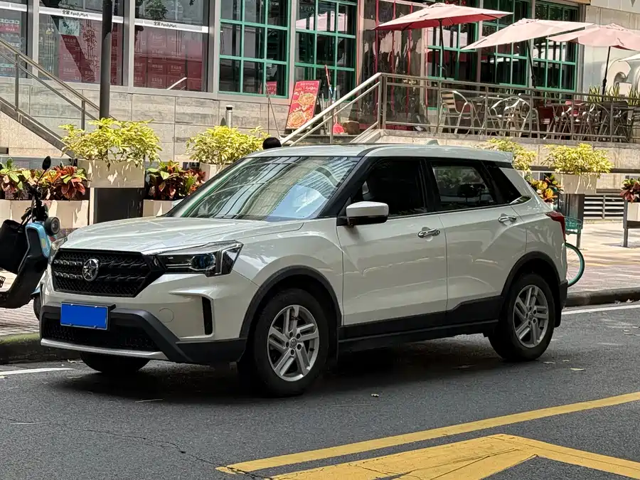 2021 Venucia T60 1.6L CVT Zhixing