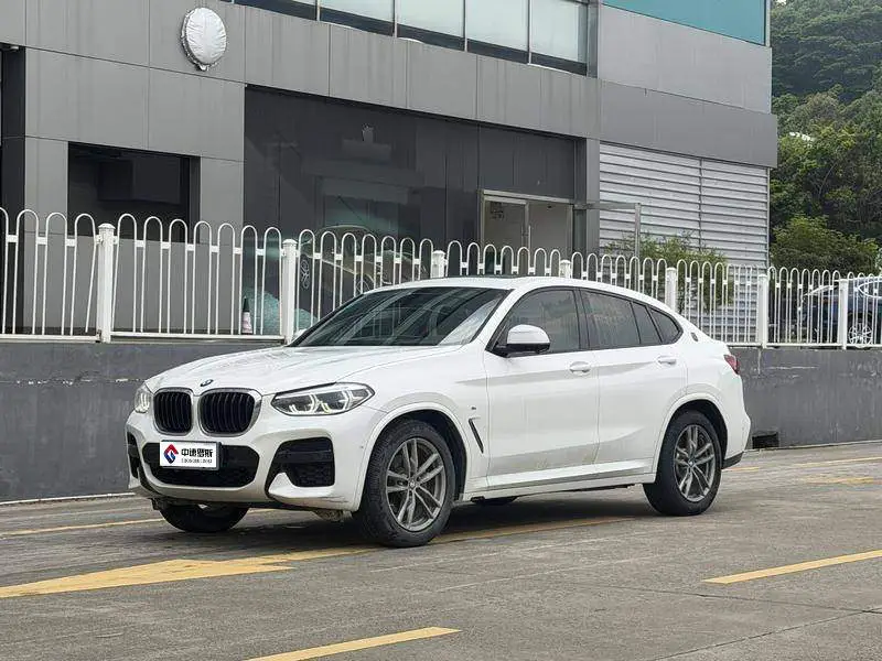 BMW X4 2019 xDrive25i M Sport Package