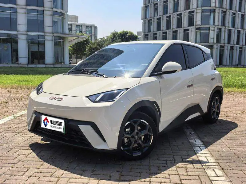 Seagull 2025 Smart Driving Edition 305km Free Edition