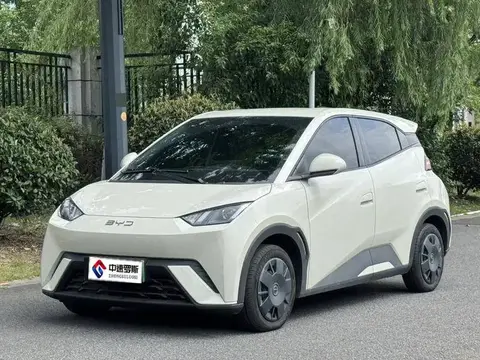 Seagull 2024 Honor Edition 305km Freedom Edition