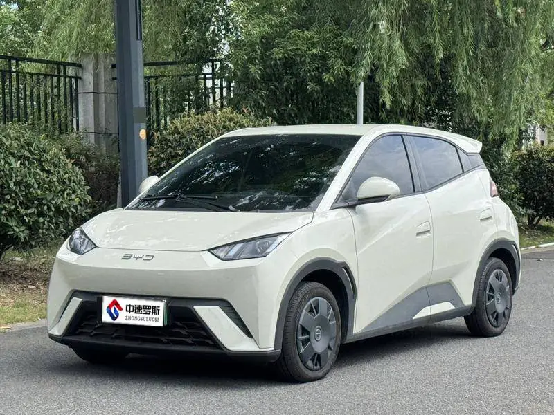 Seagull 2024 Honor Edition 305km Freedom Edition