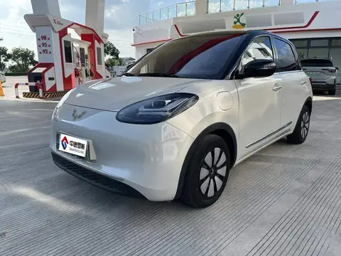 Wuling Bingo 2024 333km Enjoy Edition