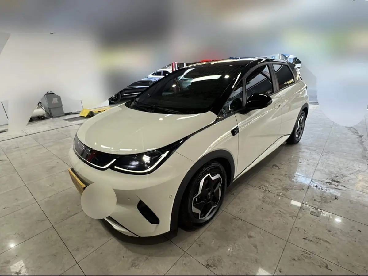 dolphin 2025 Smart Driving Edition 420km Free Edition