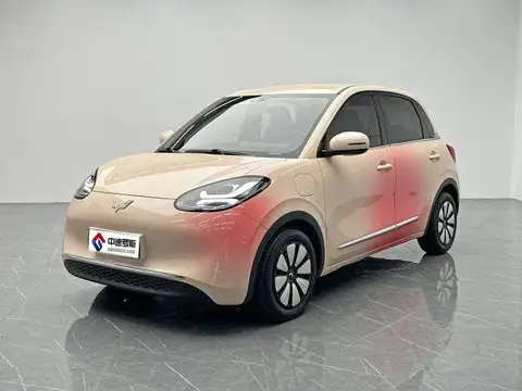 Wuling Bingo 2024 333km Enjoy Edition