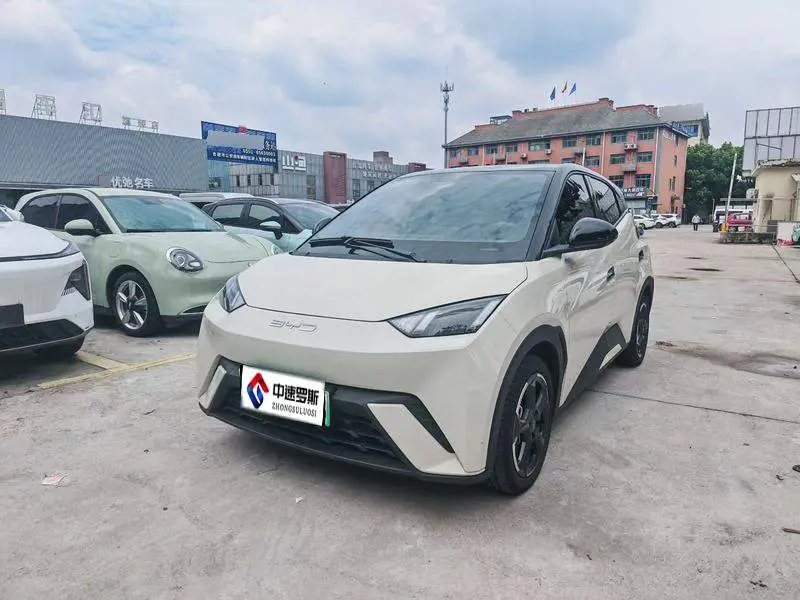 Seagull 2024 Honor Edition 305กม. Freedom Edition