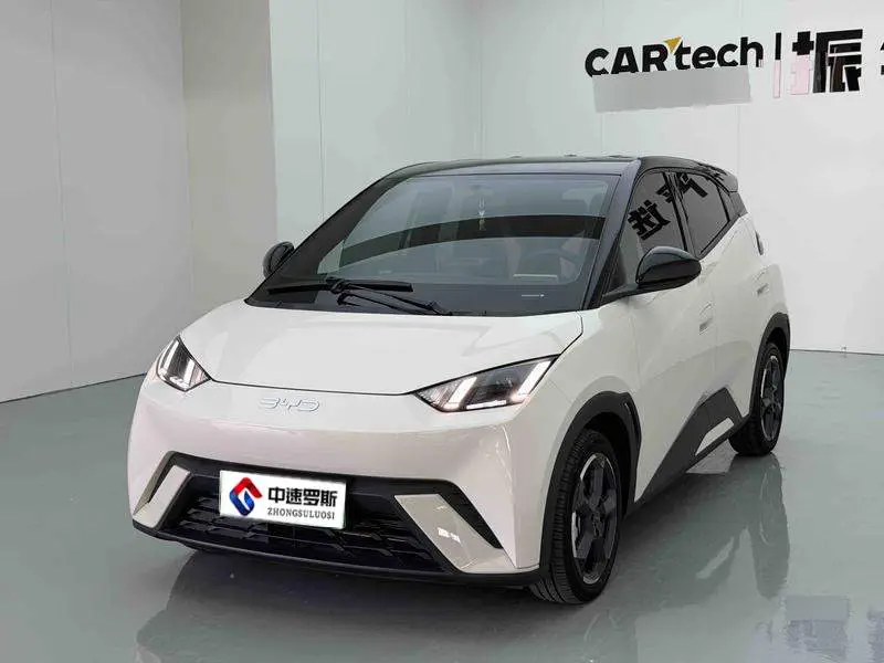 Seagull 2024 Glory Edition 305กม. Vitality Edition