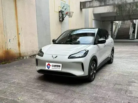 Wuling Bingo PLUS 2024 330km five-seater version