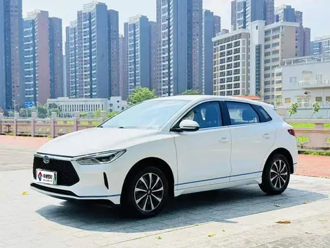 BYD e2 2021 Standard Mẫu