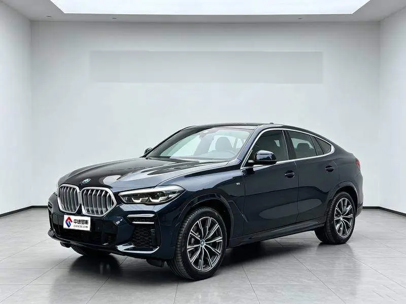 BMW X6 2020 xDrive40i M Sport Package