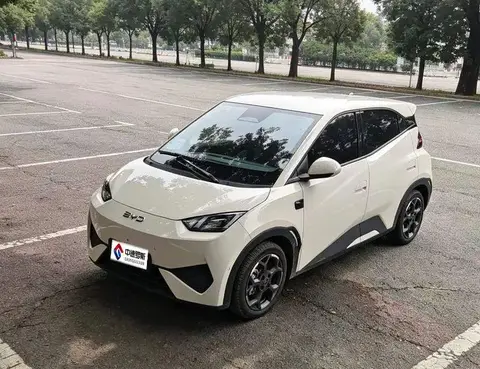 Seagull 2025 Smart Driving Edition 405km Flying Edition
