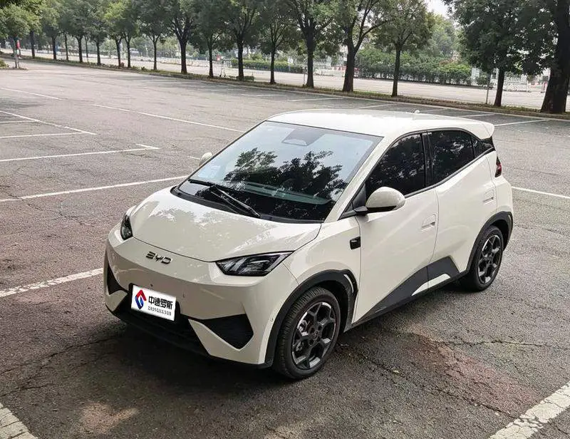 Seagull 2025 Smart Driving Edition 405km Flying Edition