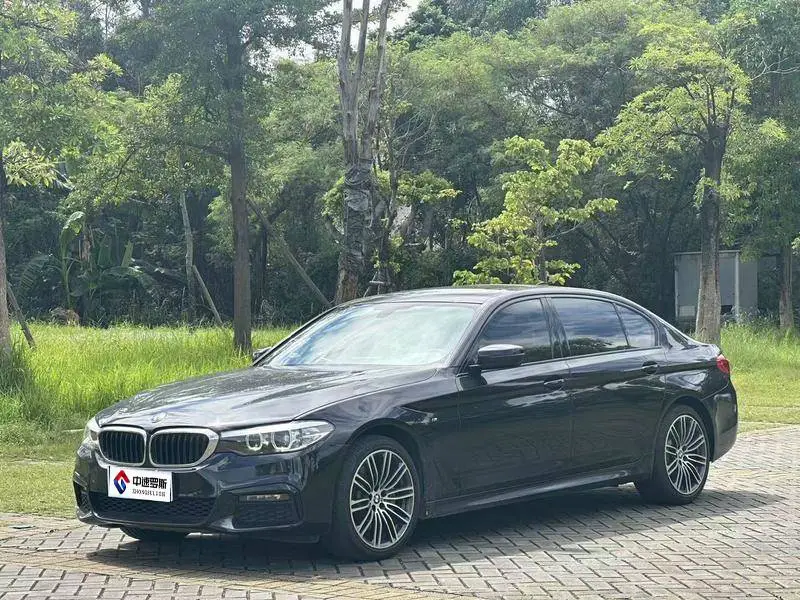 BMW 5 Series 2019 530Li Leading M Sport Package