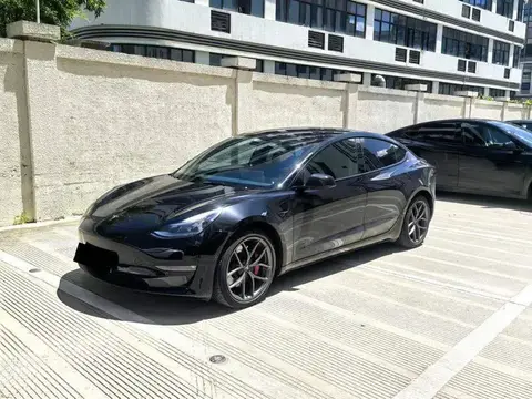 Модель 3 2022 Performance All-Wheel Привод