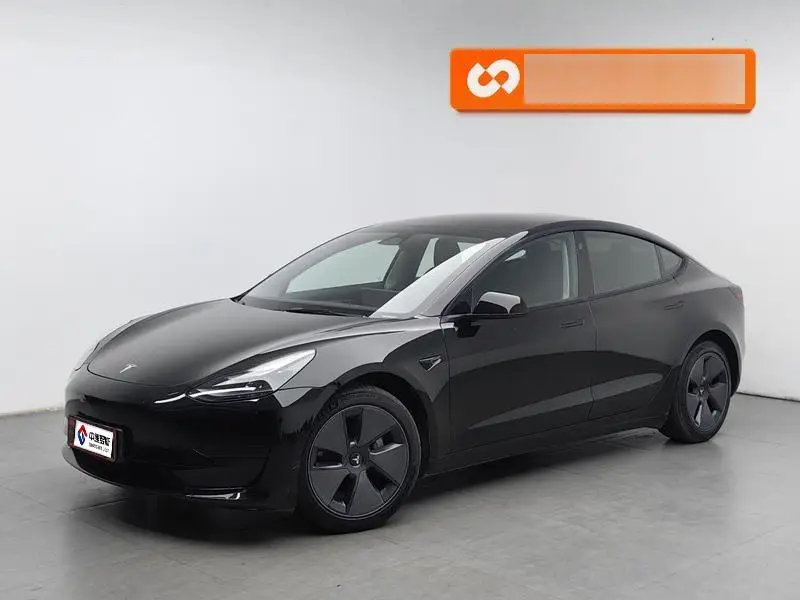 Model 3 2022 rear-wheel drive version