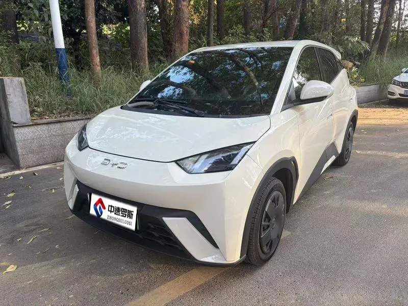 Seagull 2025 305km Freedom Edition