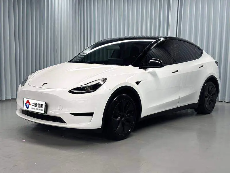 Model Y 2024 rear-wheel drive version