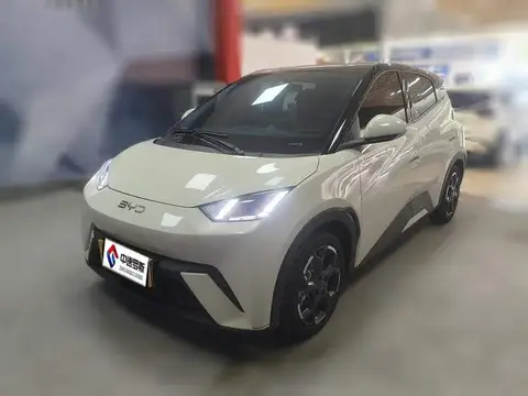 Seagull 2025 305km Freedom Edition