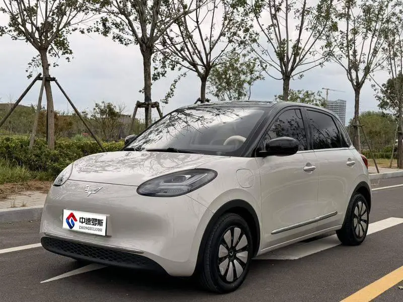 Wuling Bingo 2024 333km Enjoy Edition