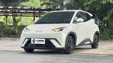 Seagull 2025 305km Vitality Edition