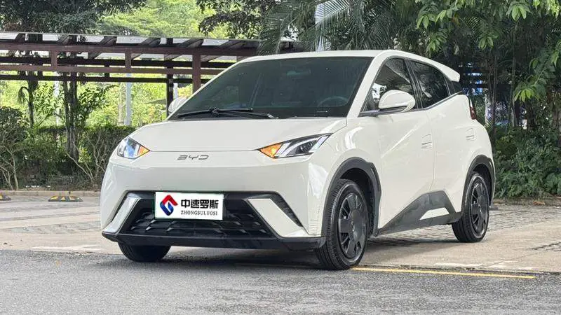 Seagull 2025 305km Vitality Edition