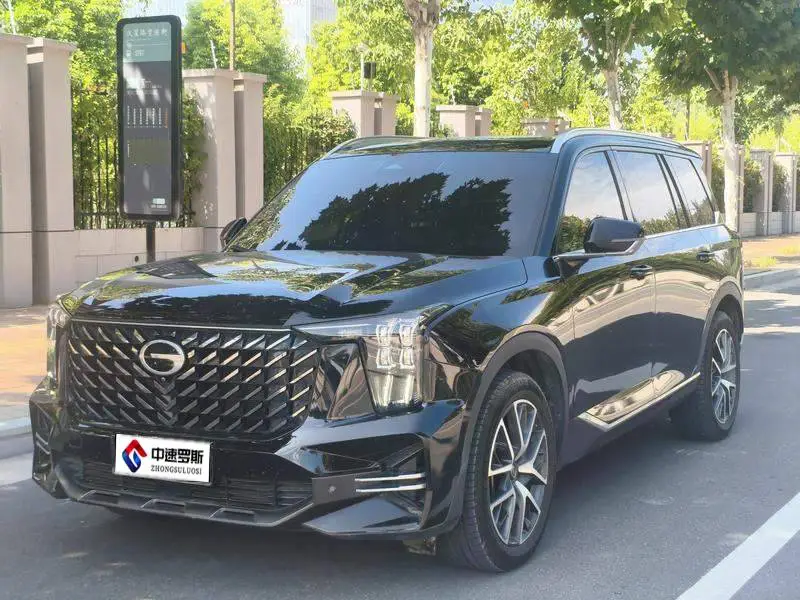 Trumpchi GS8 2024 Pilot Series 2.0TGDI Two-wheel Drive Luxury Smart Edition