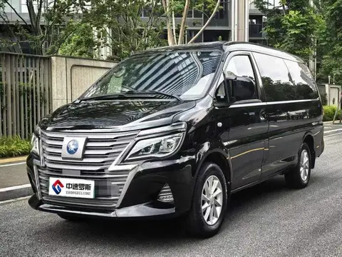 Lingzhi M5EV 2022 Passenger Edition Luxury 7-seater