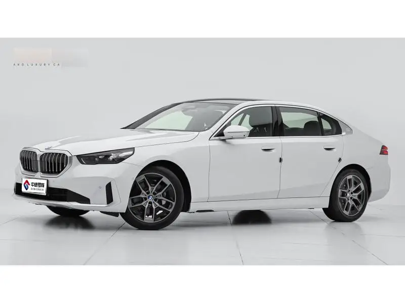 BMW 5 Series 2024 530Li Leading Luxury Package