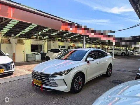 Destroyer 05 2024 Honor Edition DM-i 55KM Luxury