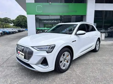 Audi e-tron 2021 50 quattro Luxury