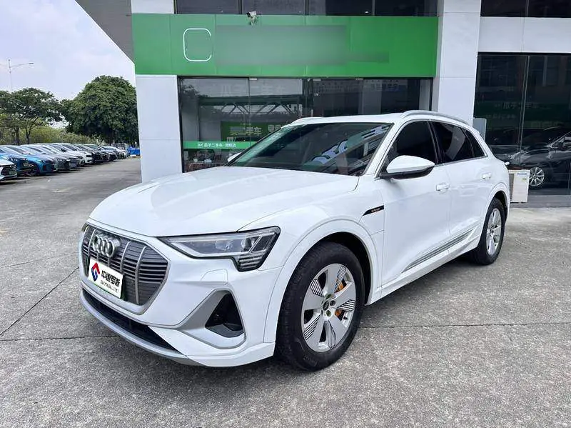 Audi e-tron 2021 50 quattro Luxury