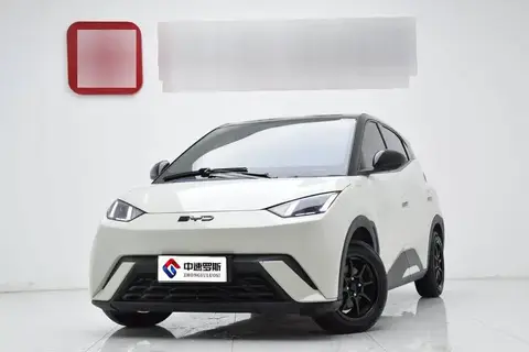 Seagull 2025 305km Vitality Edition