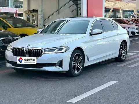 BMW 5 Серия 2021 530Li Leading Luxury Package
