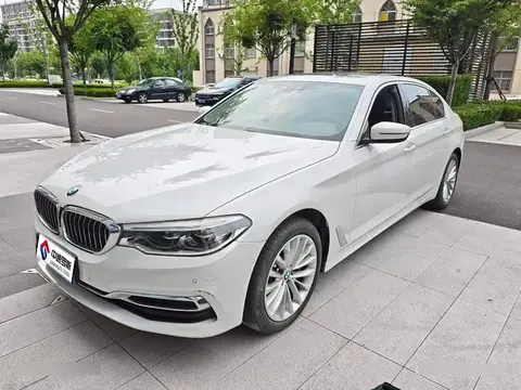 BMW 5 Серия 2020 530Li Premium Luxury Package