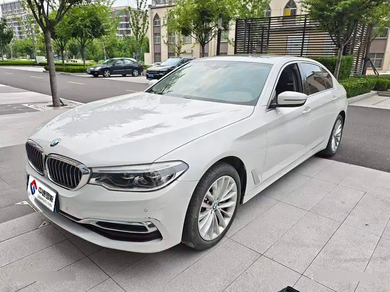 BMW 5 Series 2020 530Li Premium Luxury Package