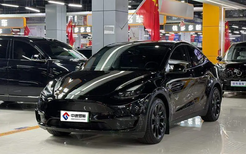Model Y 2021 Long Range All-Wheel Drive