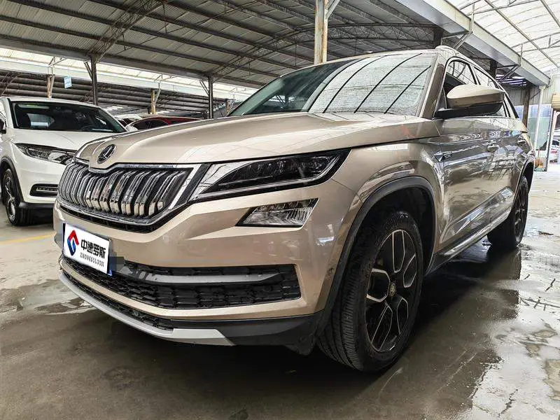 Kodiak 2020 TSI330 5-seater 2WD Luxury Edition