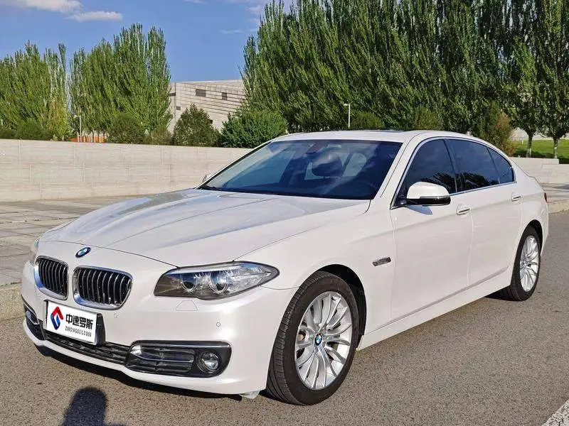 BMW 5 Série 2014 525Li Luxury Design Package