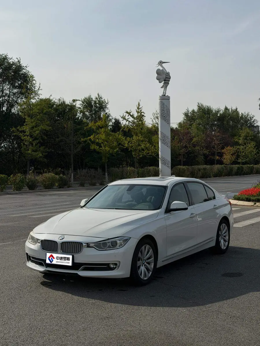 BMW 3 Series 2013 320Li Luxury Design Package