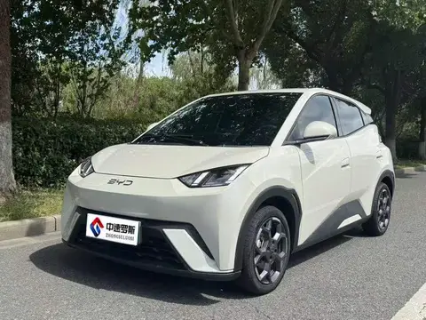 Seagull 2025 305km Freedom Edition
