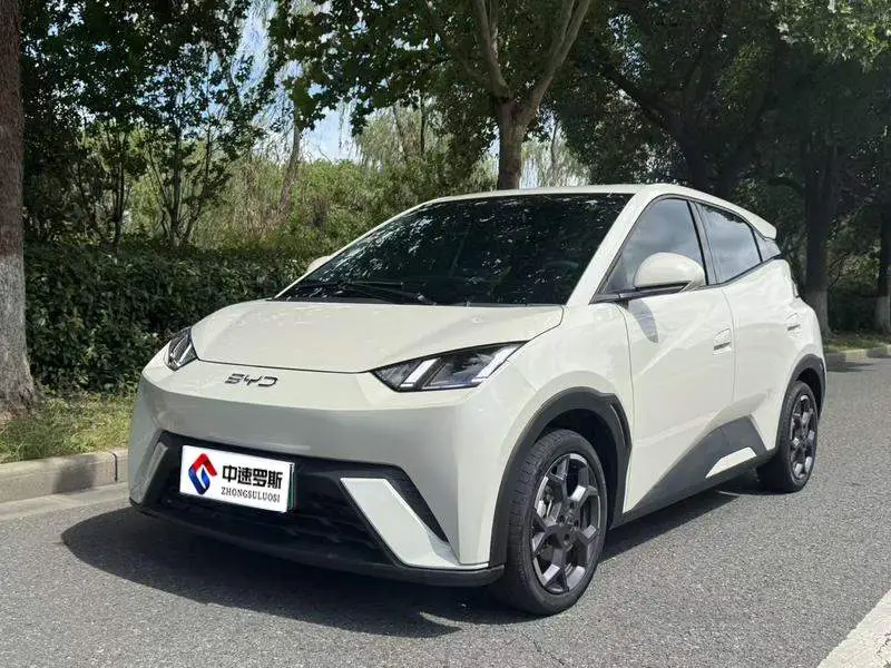 Seagull 2025 305km Freedom Edition
