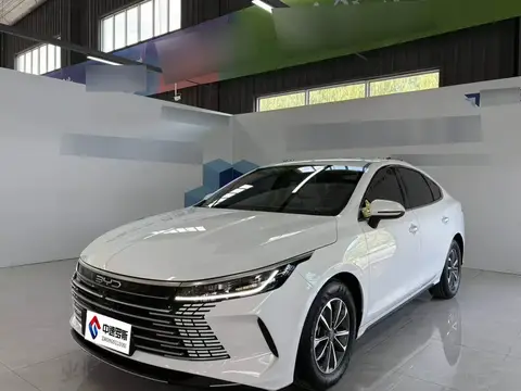 Destroyer 05 2024 Honor Edition DM-i 55KM Luxury