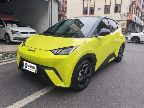 Seagull 2024 Honor Edition 305km Freedom Edition