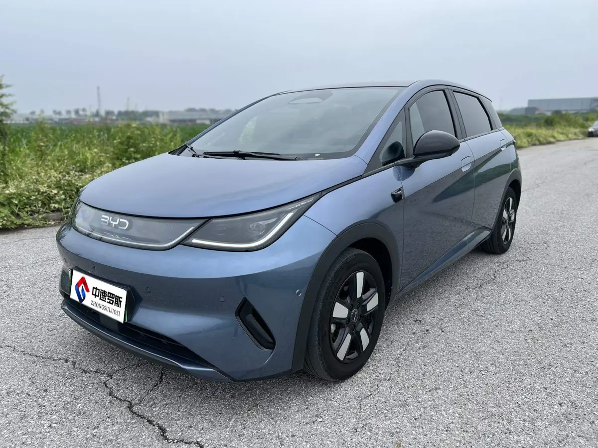 dolphin 2025 Smart Driving Edition 410km Fashion Edition