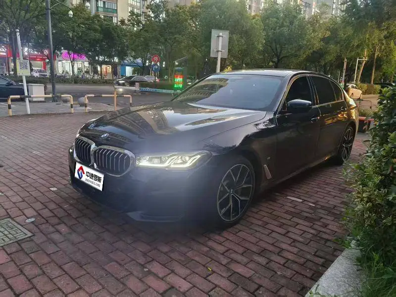 BMW 5 Series 2021 530Li Executive M Sport Package