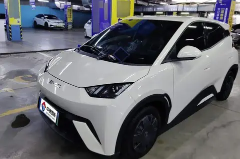 Seagull 2023 Vitality Edition