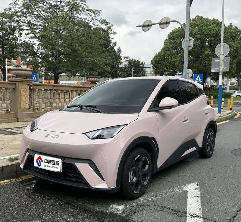 Seagull 2025 305km Freedom Edition