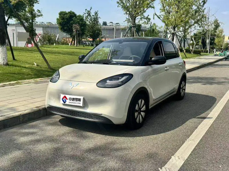 Wuling Bingo 2025 Model 333km Enjoy Edition