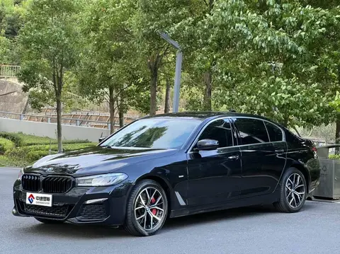 BMW 5 Série 2018 530Li Leading Luxury Package